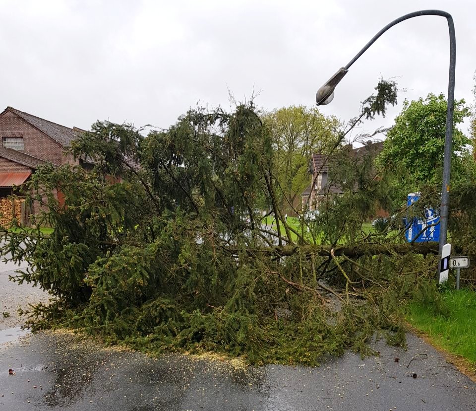 IMG-20180501-WA0002 1525293275670 IMG-20180501-WA0002 1525293275670