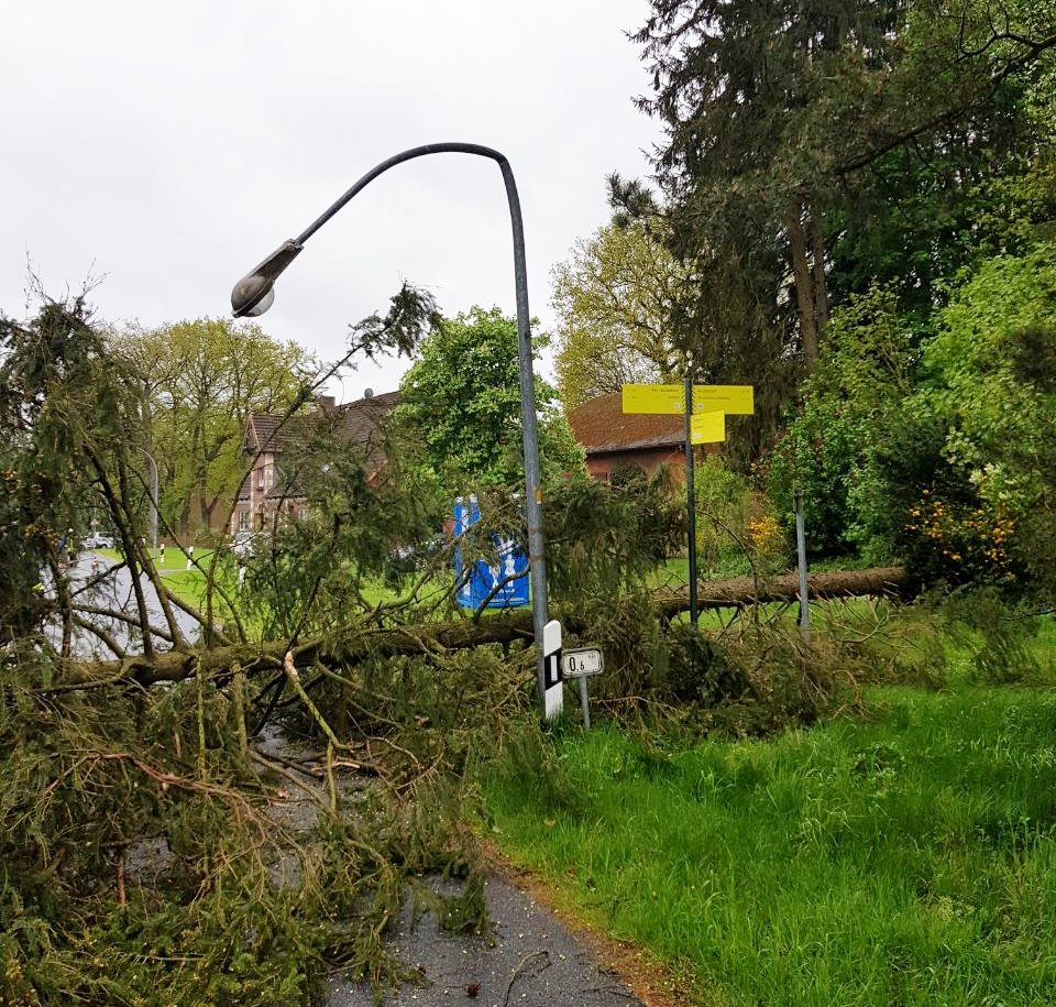 IMG-20180501-WA0004 1525293275089 IMG-20180501-WA0004 1525293275089