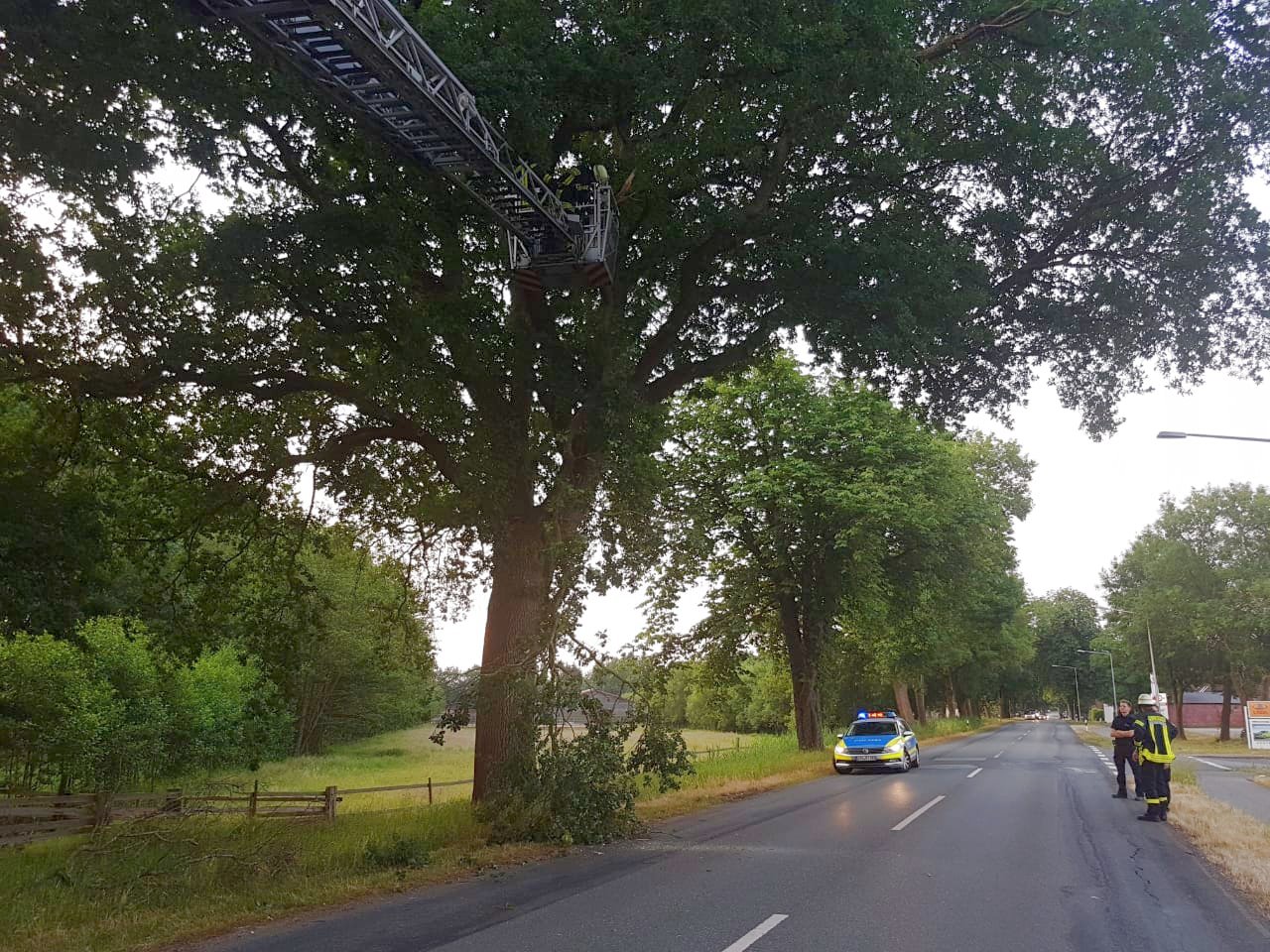 IMG-20180604-WA0000 1528142776291 IMG-20180604-WA0000 1528142776291