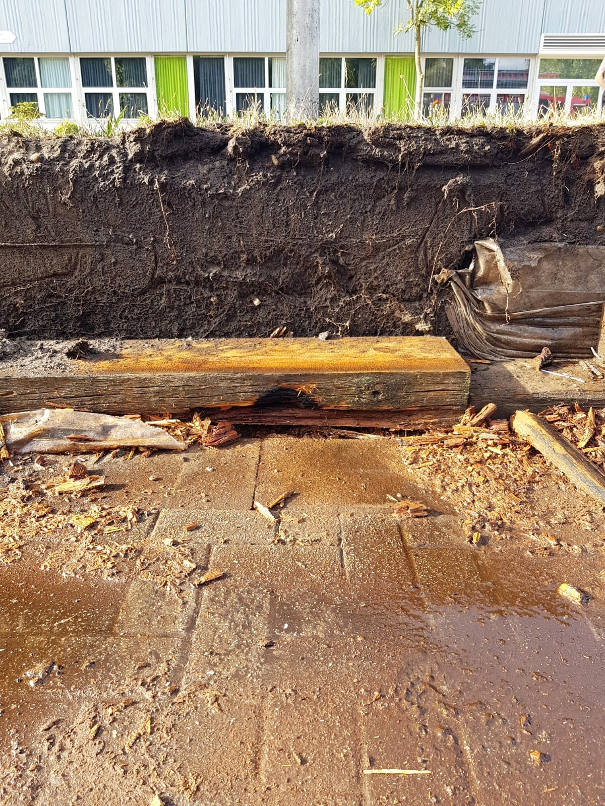 IMG-20180806-WA0006 1533554311023 IMG-20180806-WA0006 1533554311023