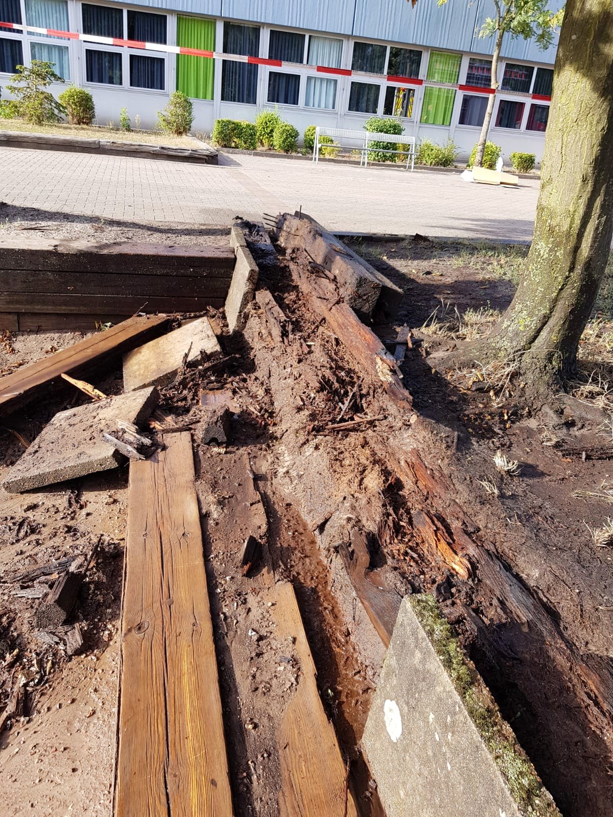 IMG-20180806-WA0008 1533554310481 IMG-20180806-WA0008 1533554310481