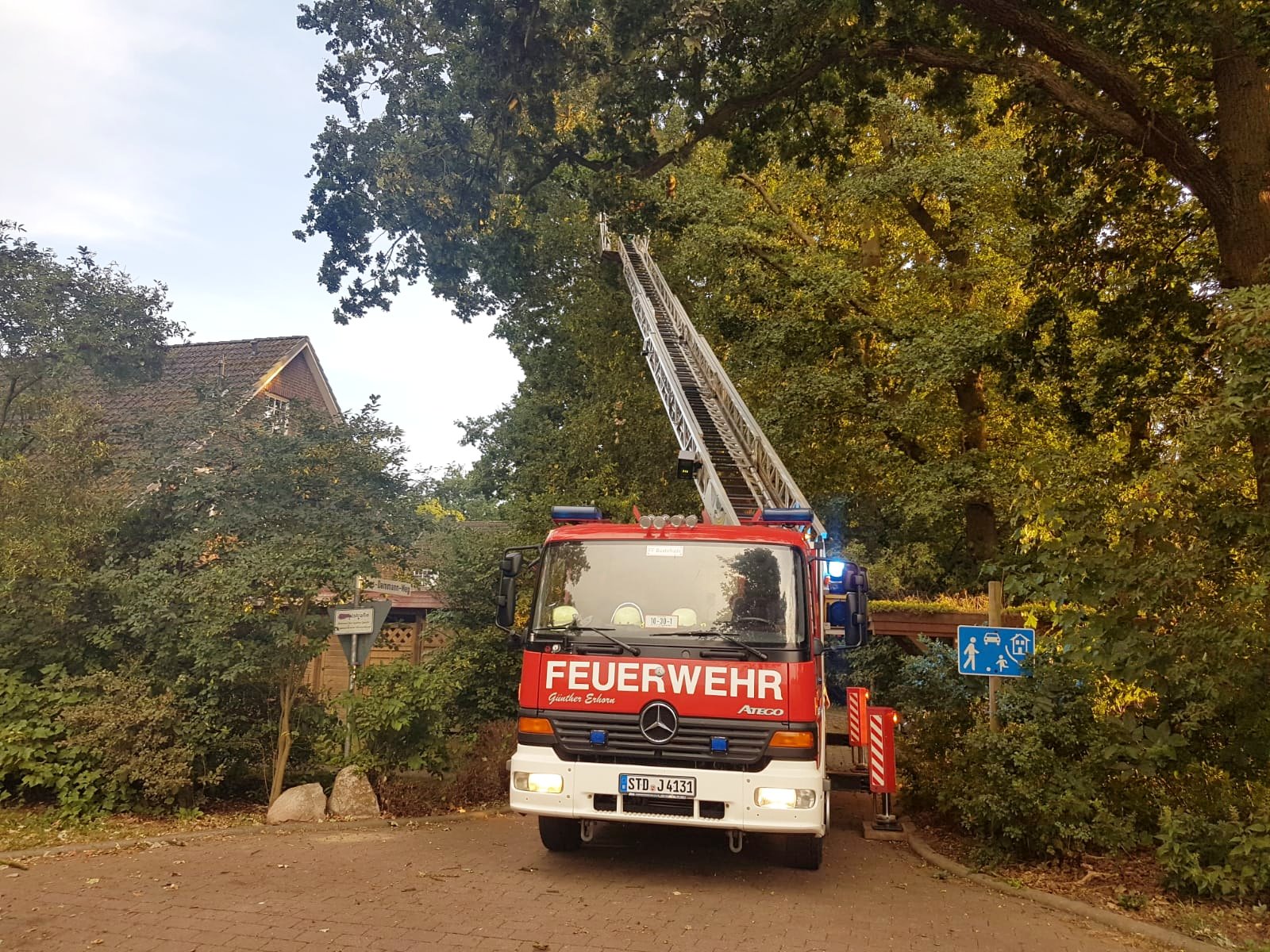 IMG-20180810-WA0004 1533932747982 IMG-20180810-WA0004 1533932747982