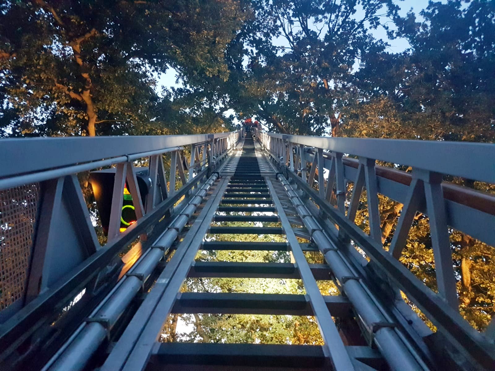 IMG-20180810-WA0007 1533932747432 IMG-20180810-WA0007 1533932747432