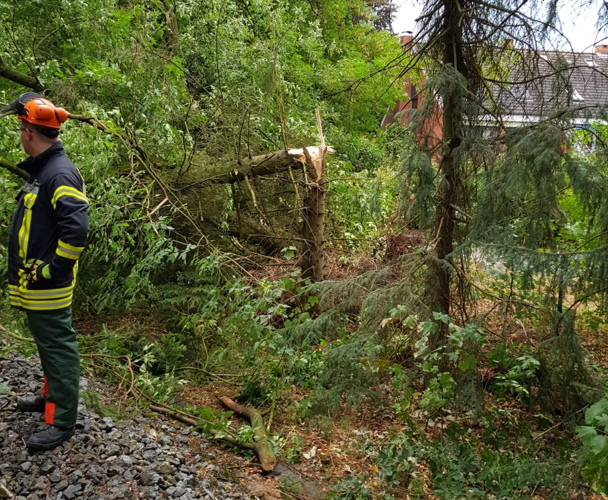 IMG-20180810-WA0020 1533932746263 IMG-20180810-WA0020 1533932746263