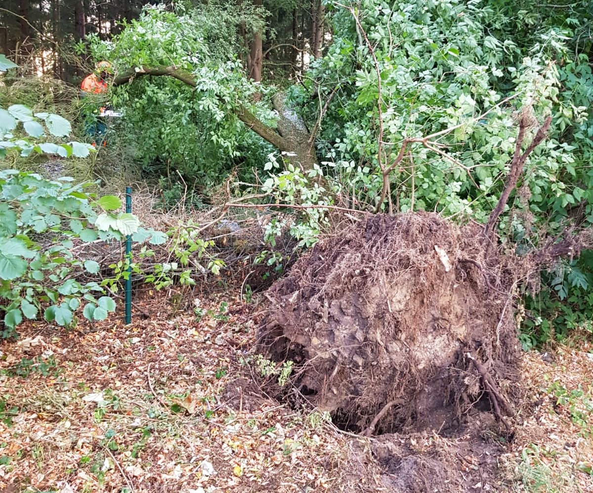 IMG-20180810-WA0021 1533932745601 IMG-20180810-WA0021 1533932745601