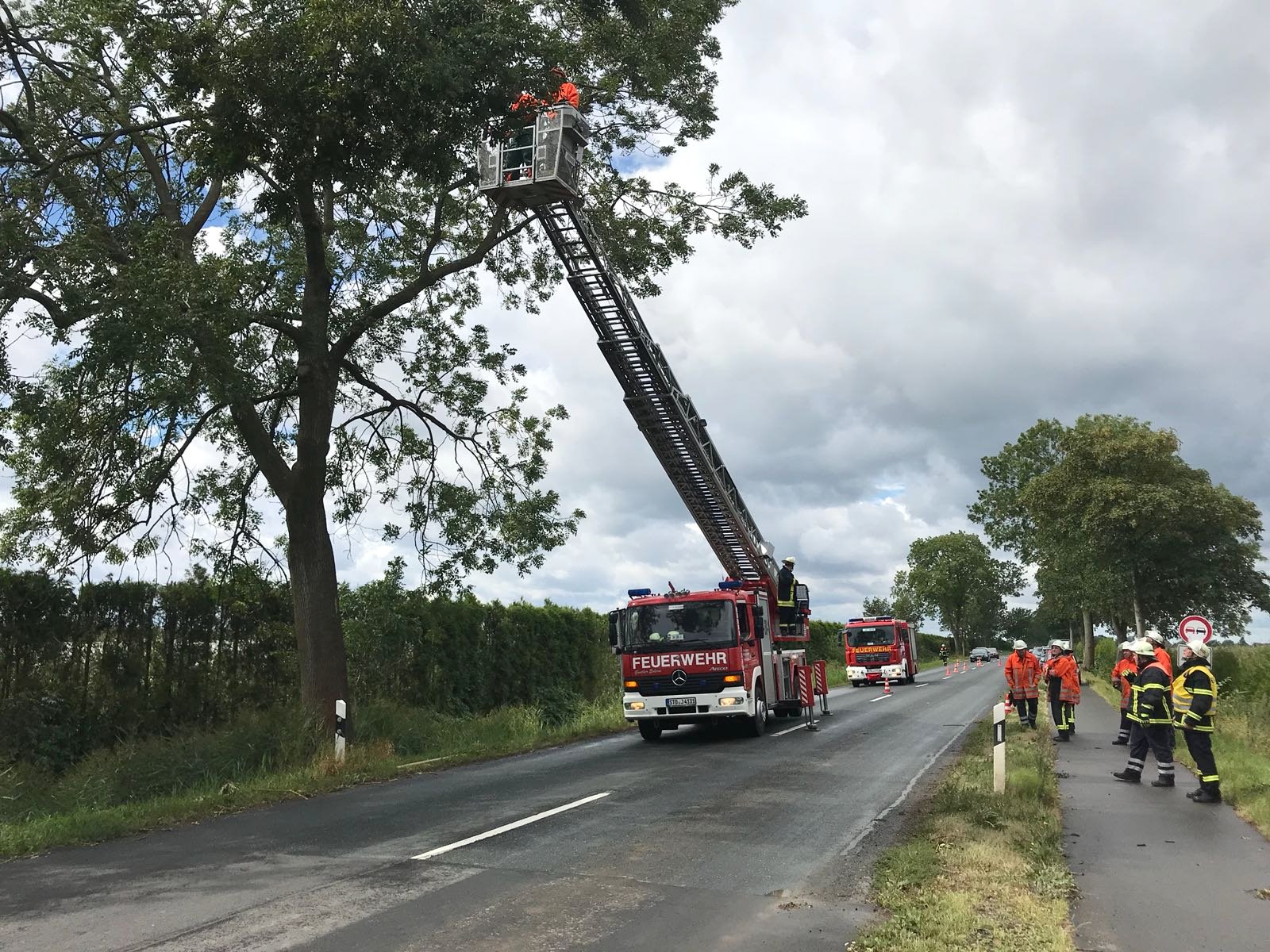 IMG-20180812-WA0006 1534189539688 IMG-20180812-WA0006 1534189539688