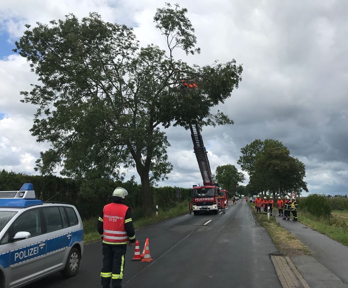 IMG-20180812-WA0007 1534189539404 IMG-20180812-WA0007 1534189539404