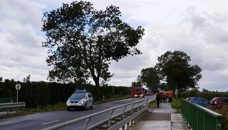 IMG-20180812-WA0008 1534189539209 IMG-20180812-WA0008 1534189539209