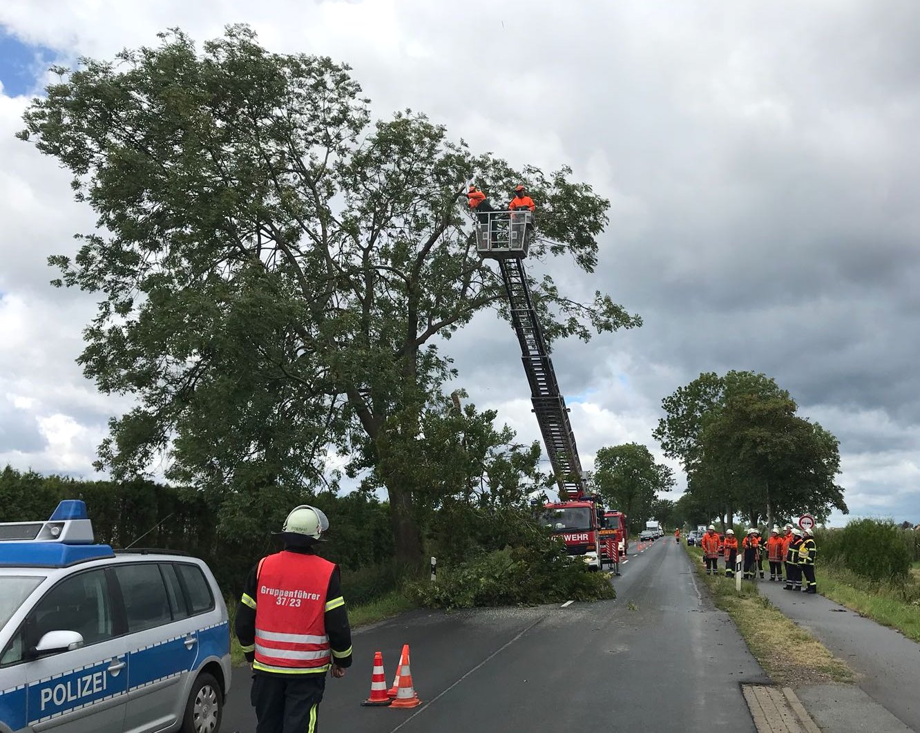 IMG-20180812-WA0009 1534189538399 IMG-20180812-WA0009 1534189538399