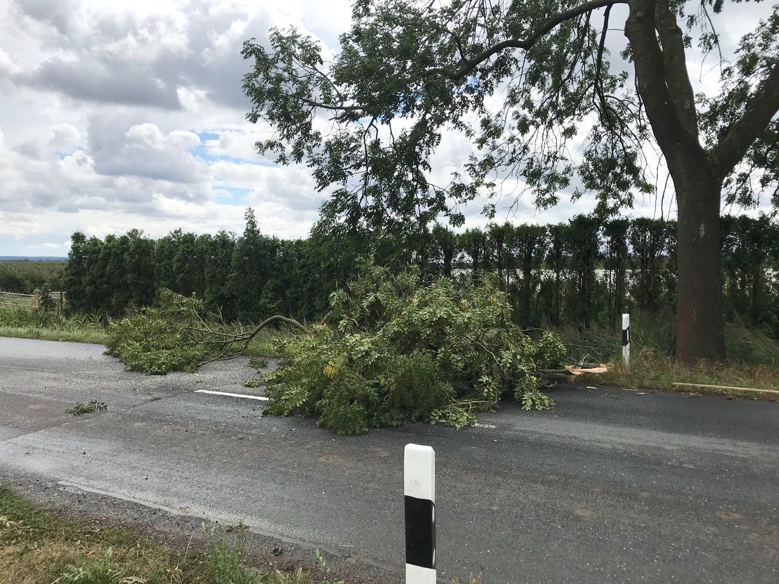 IMG-20180812-WA0011 1534189538876 IMG-20180812-WA0011 1534189538876