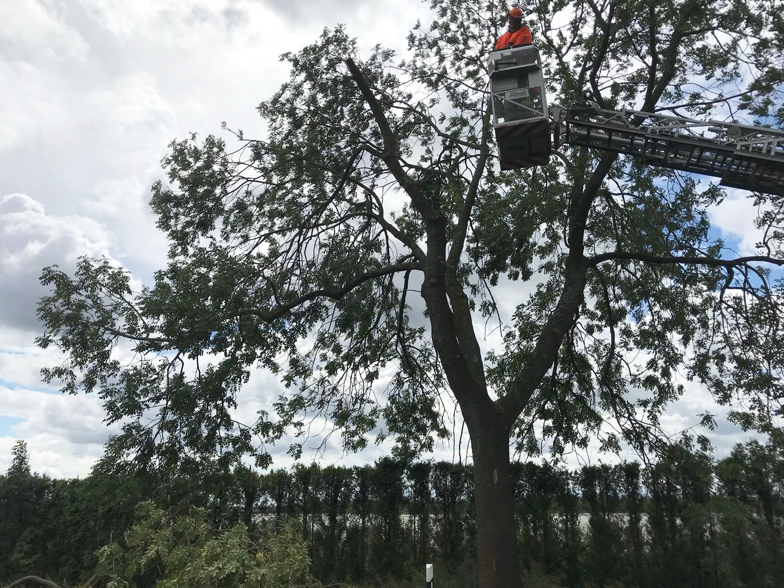 IMG-20180812-WA0012 1534189538161 IMG-20180812-WA0012 1534189538161