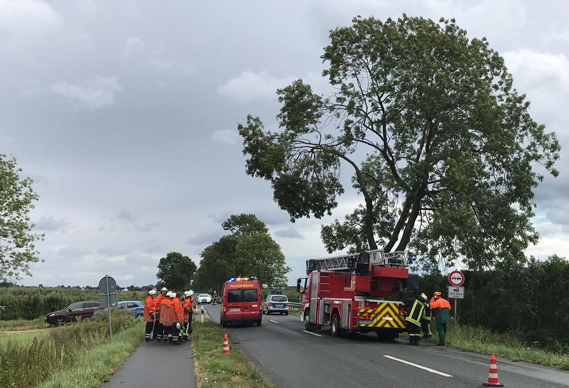 IMG-20180812-WA0015 1534189536821 IMG-20180812-WA0015 1534189536821