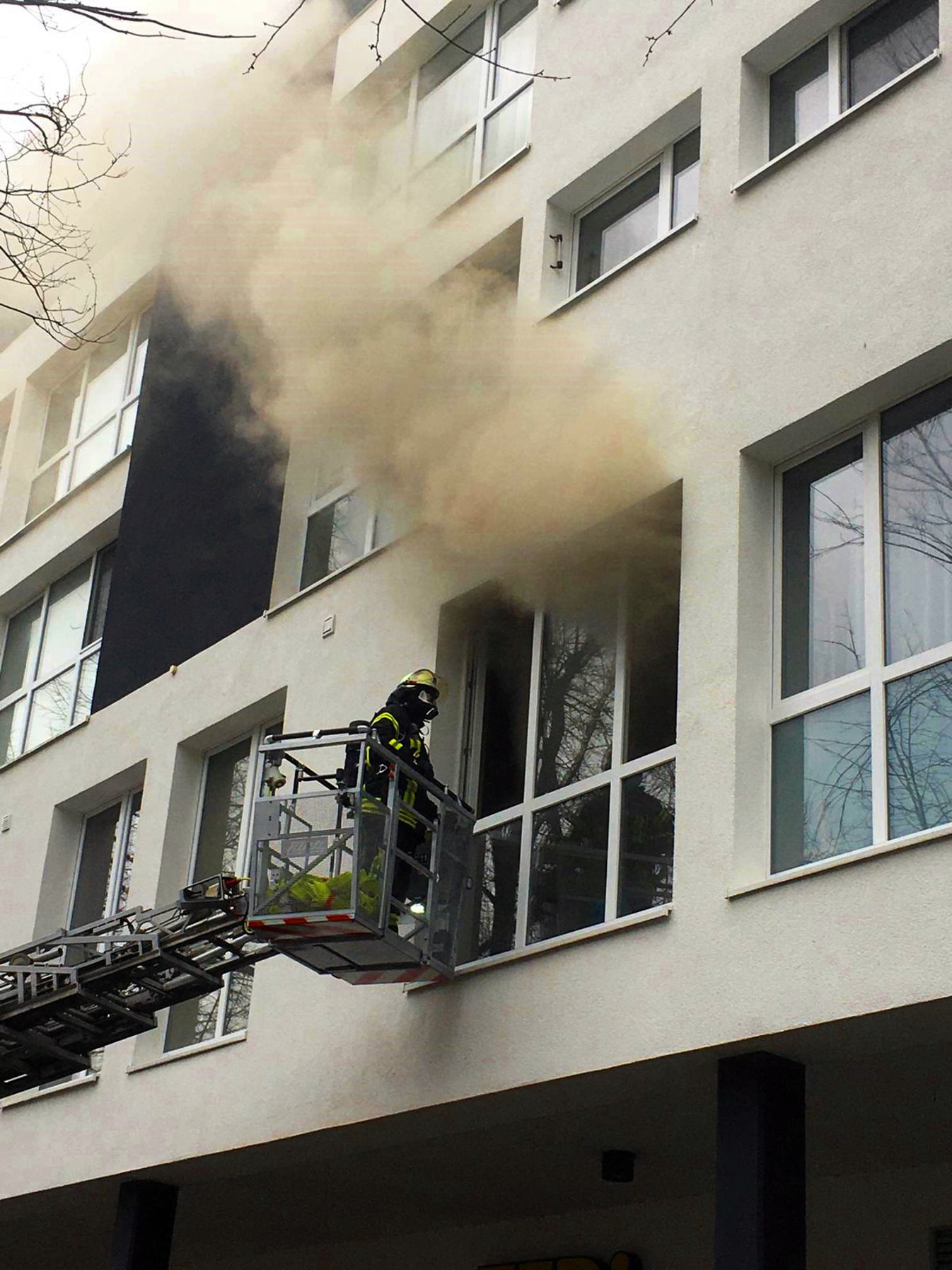 IMG-20200207-WA0028 IMG-20200207-WA0028