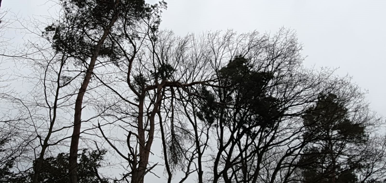 IMG-20200216-WA0018 IMG-20200216-WA0018