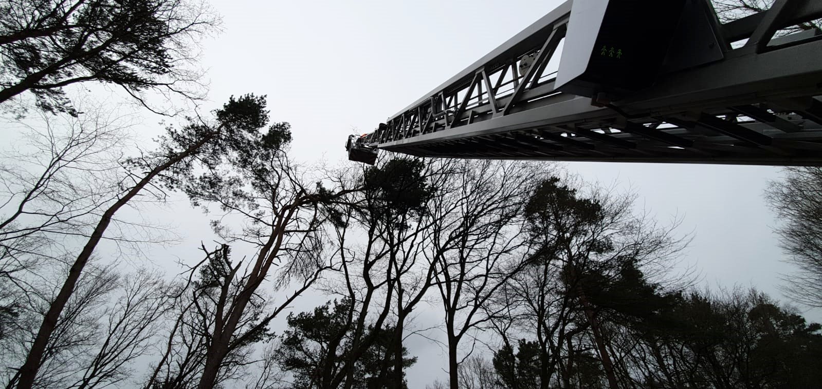 IMG-20200216-WA0023 IMG-20200216-WA0023