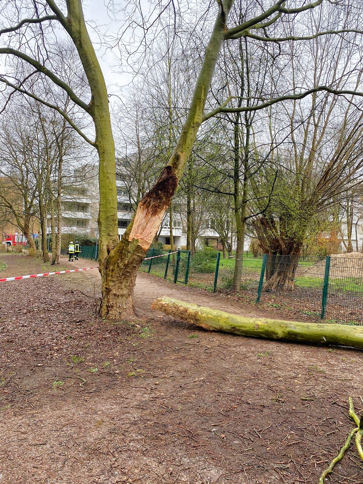 IMG-20200329-WA0015 IMG-20200329-WA0015