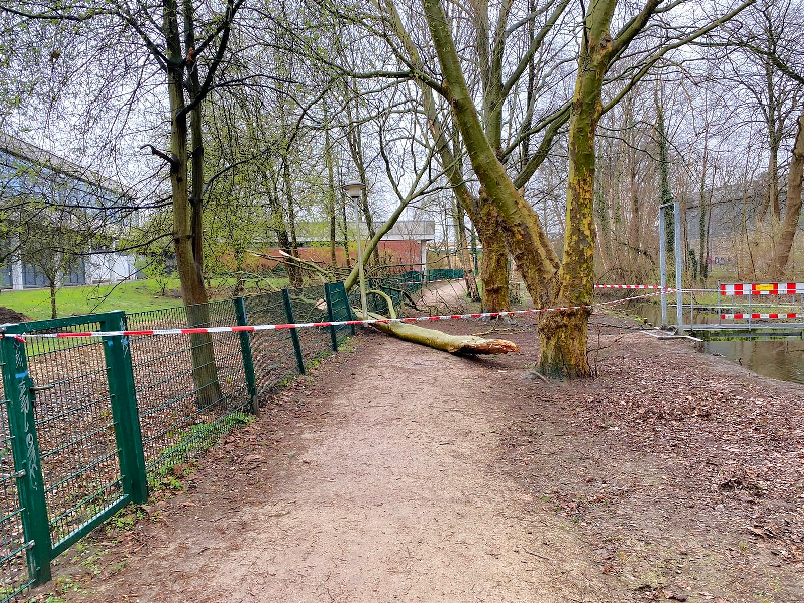 IMG-20200329-WA0016 IMG-20200329-WA0016