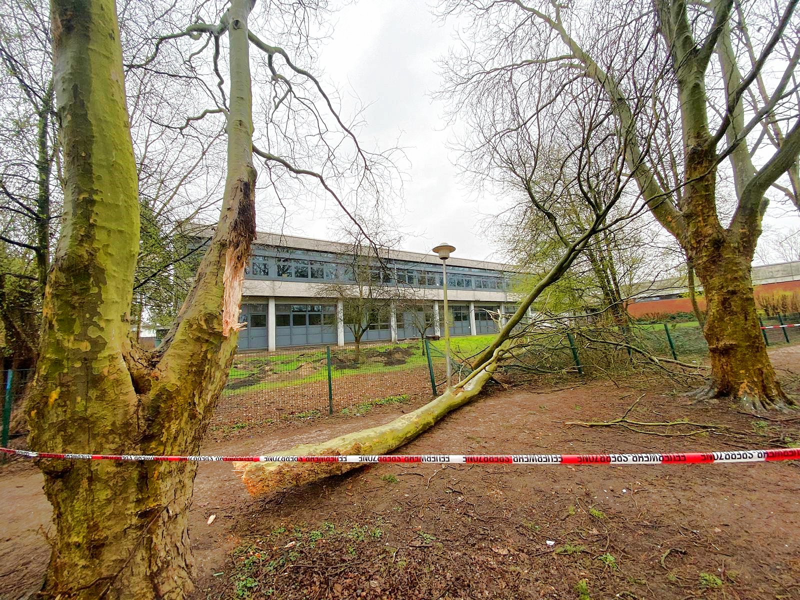 IMG-20200329-WA0017 IMG-20200329-WA0017