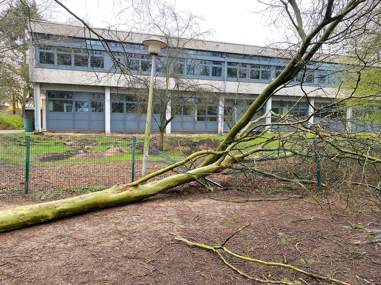 IMG-20200329-WA0018 IMG-20200329-WA0018