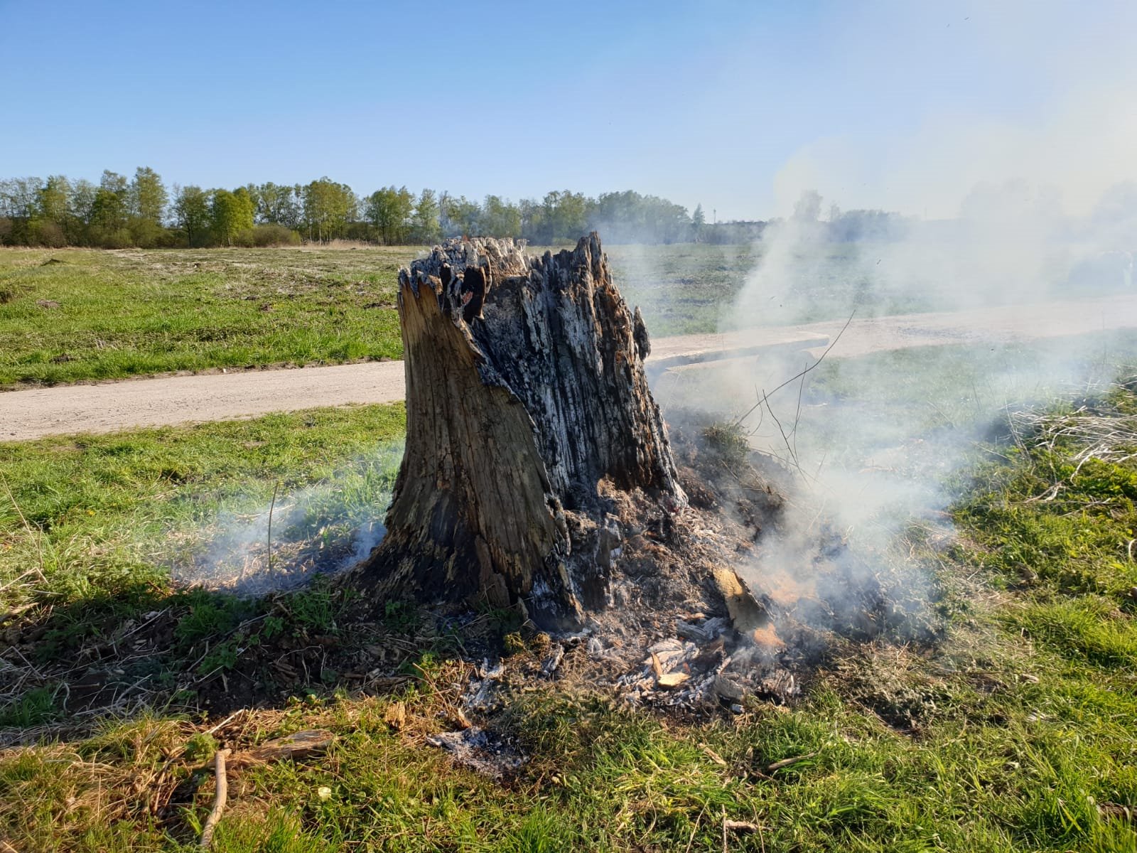 IMG-20200421-WA0014 IMG-20200421-WA0014