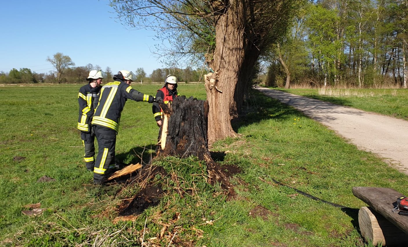 IMG-20200421-WA0025 IMG-20200421-WA0025