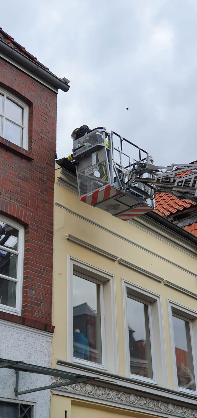 IMG-20200516-WA0005 IMG-20200516-WA0005