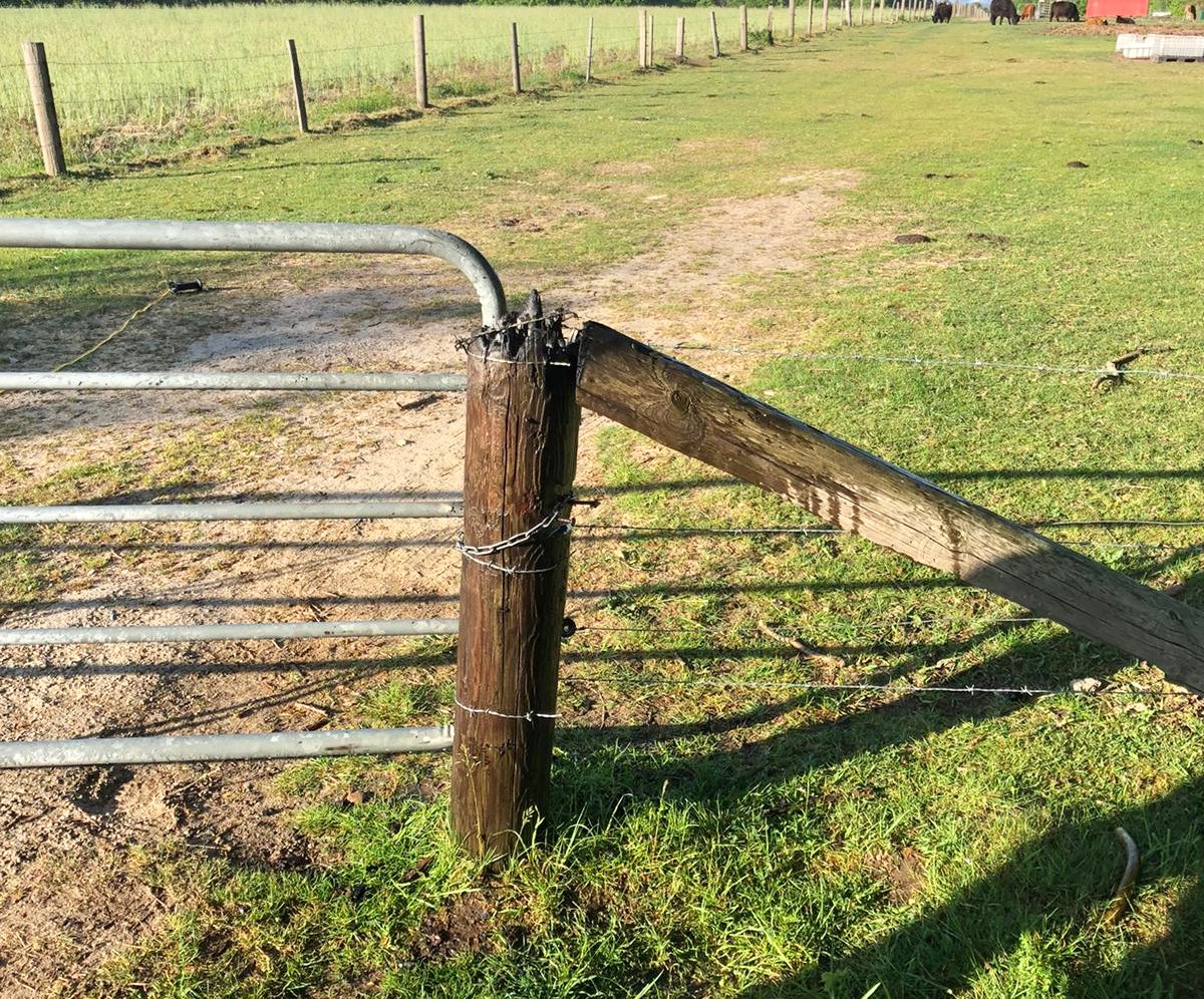 IMG-20200524-WA0009 IMG-20200524-WA0009