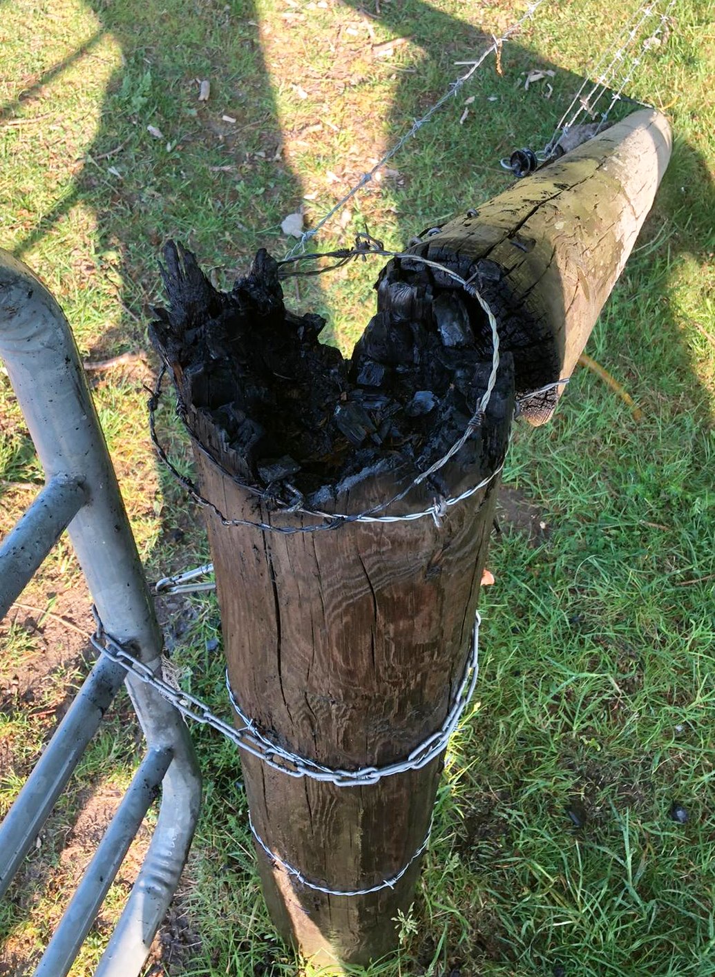 IMG-20200524-WA0010 IMG-20200524-WA0010