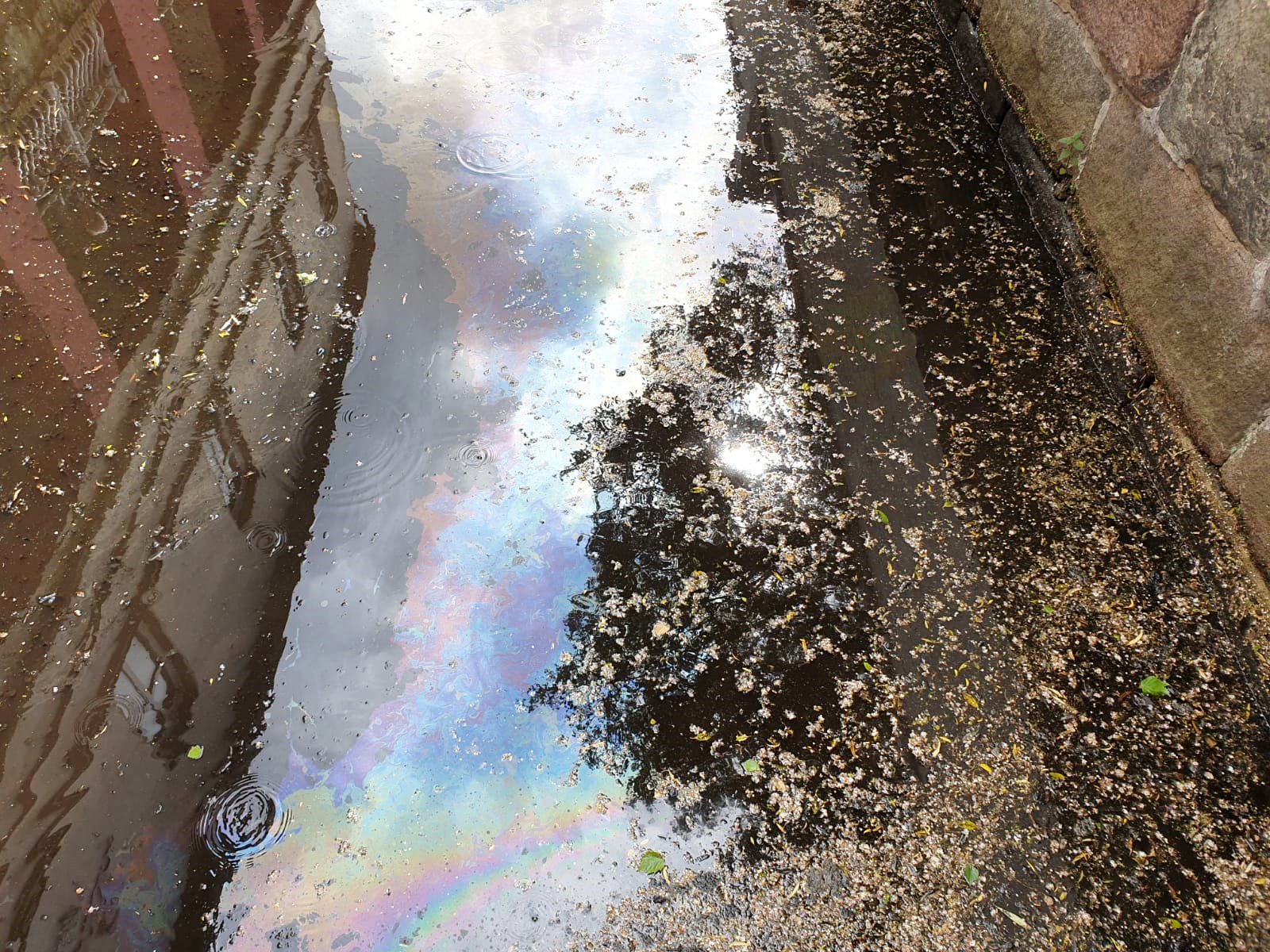 IMG-20200523-WA0022 IMG-20200523-WA0022