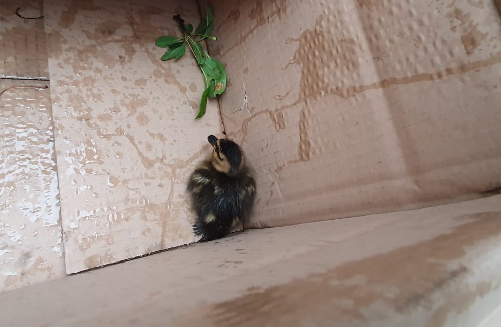 IMG-20200605-WA0040 IMG-20200605-WA0040