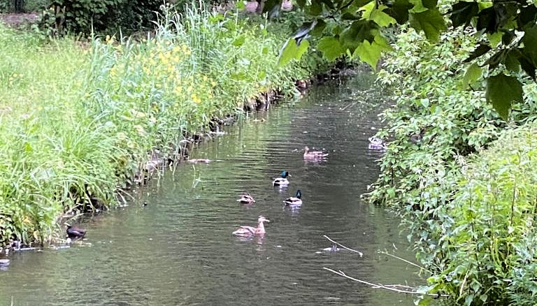 IMG-20200611-WA0008 IMG-20200611-WA0008