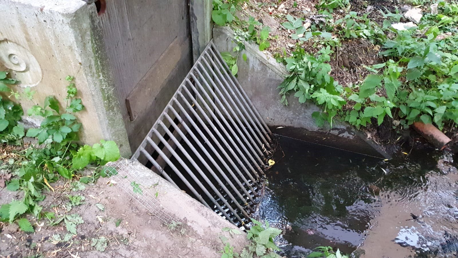 IMG-20200611-WA0040 IMG-20200611-WA0040