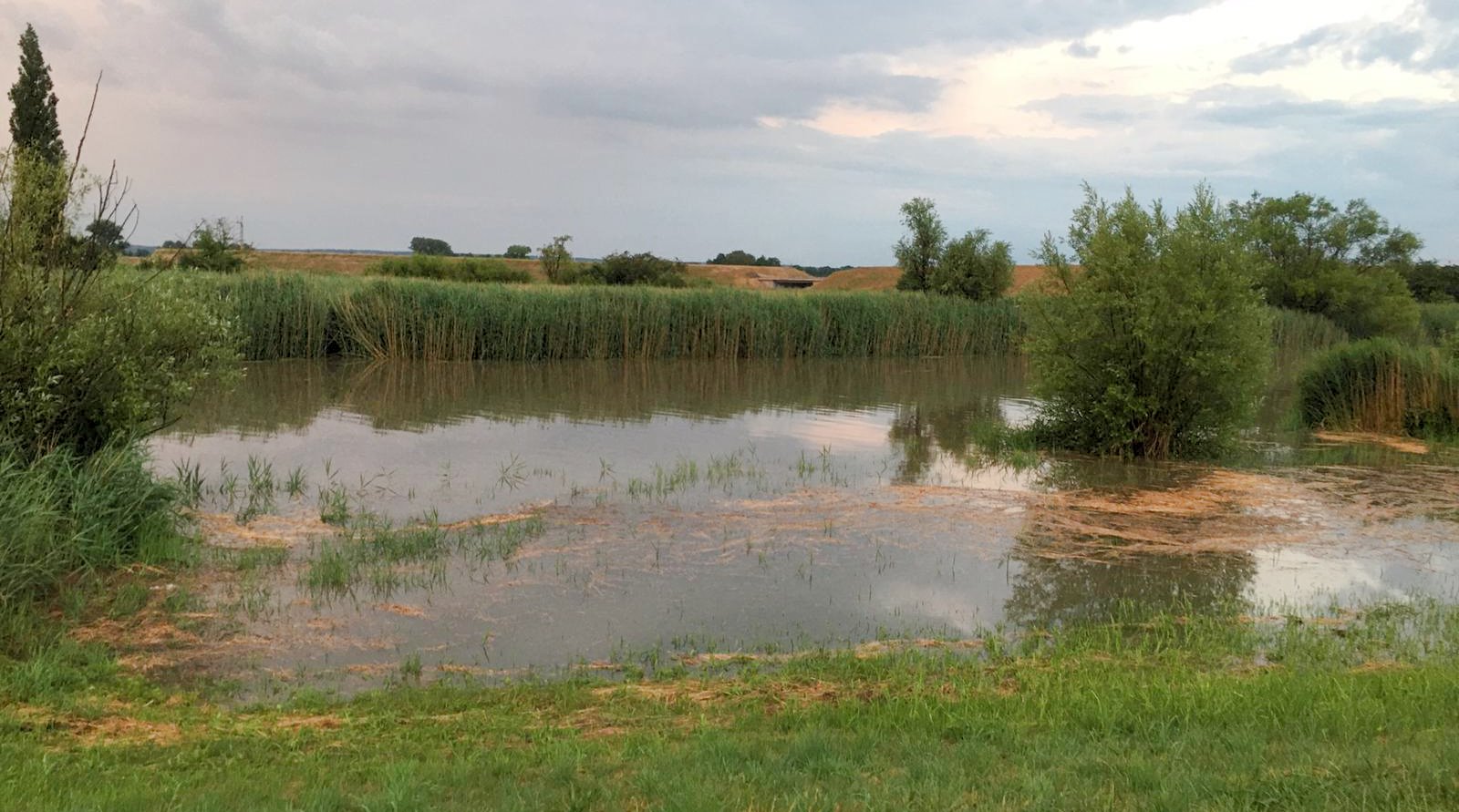 IMG-20200627-WA0020 IMG-20200627-WA0020