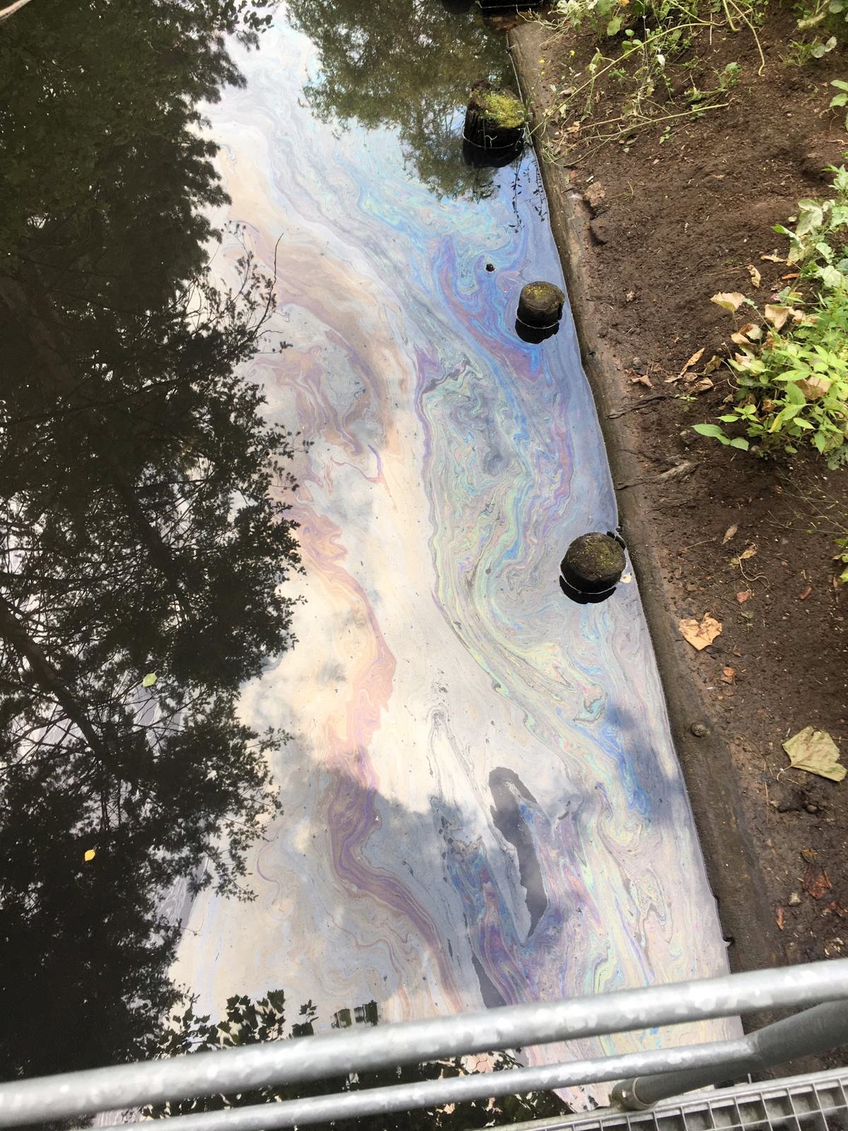 IMG-20200801-WA0021 IMG-20200801-WA0021