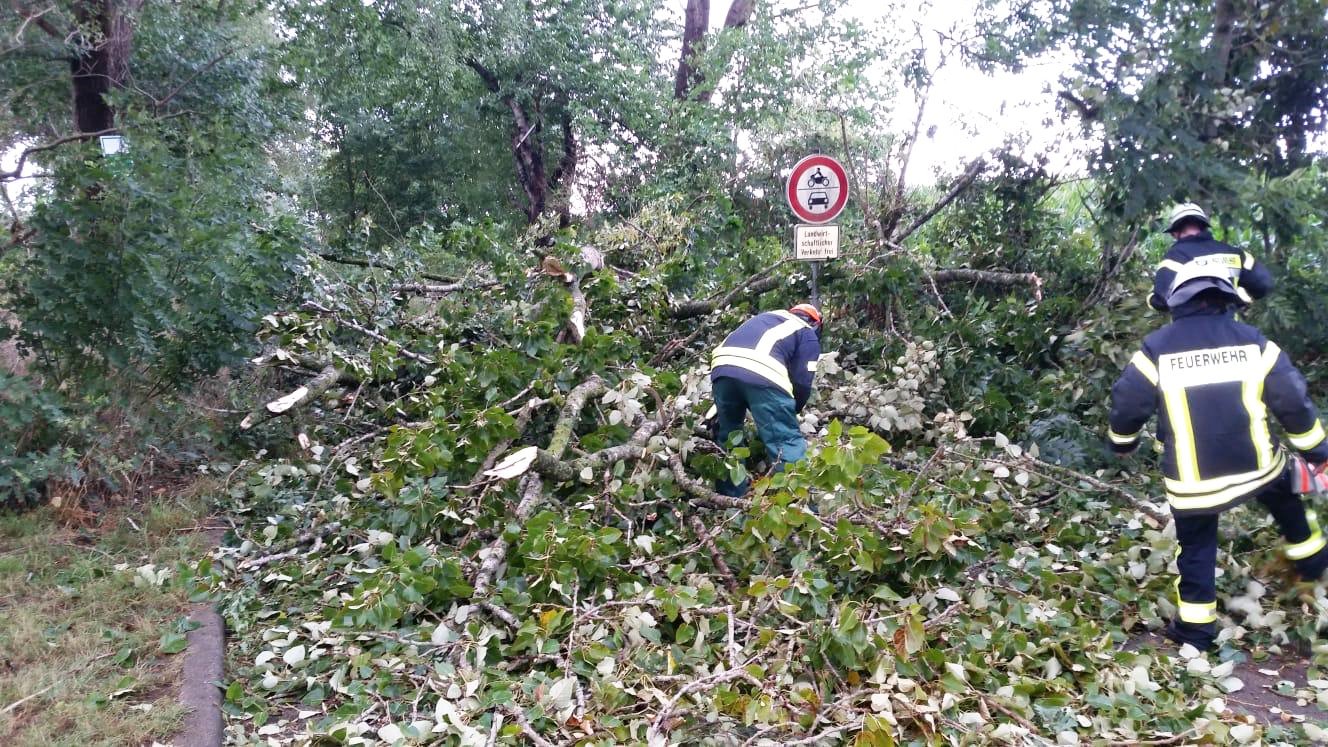 IMG-20200826-WA0042 IMG-20200826-WA0042