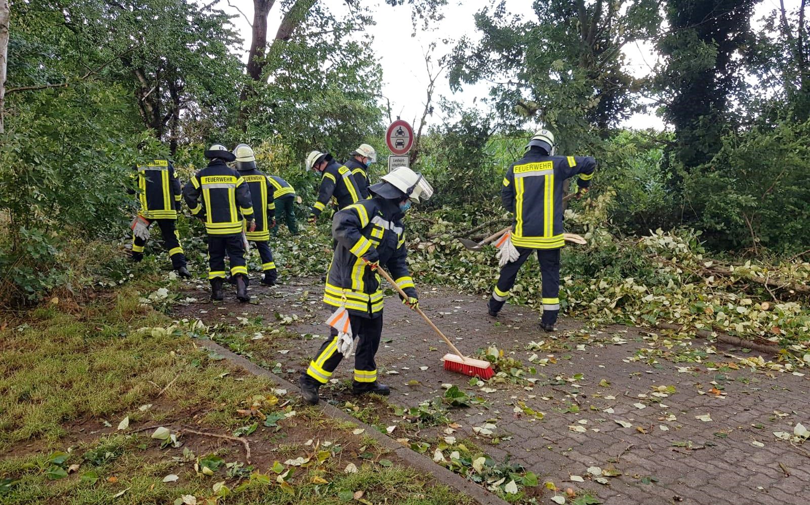 IMG-20200826-WA0043 IMG-20200826-WA0043