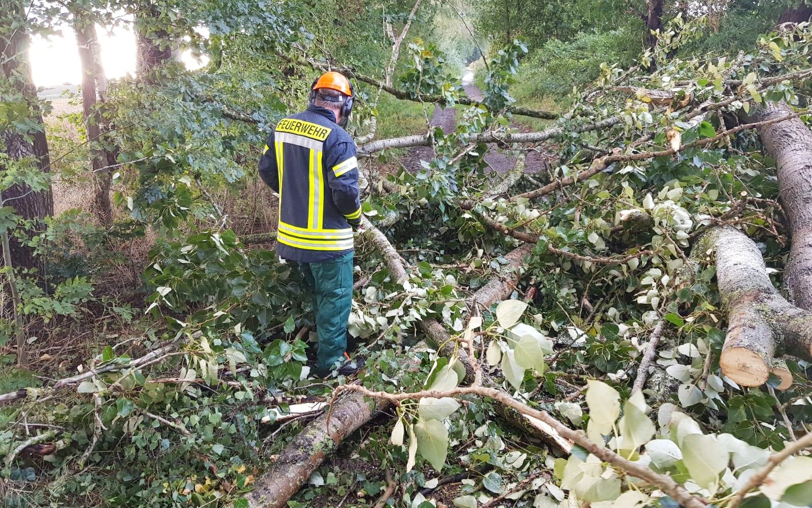 IMG-20200826-WA0044 IMG-20200826-WA0044