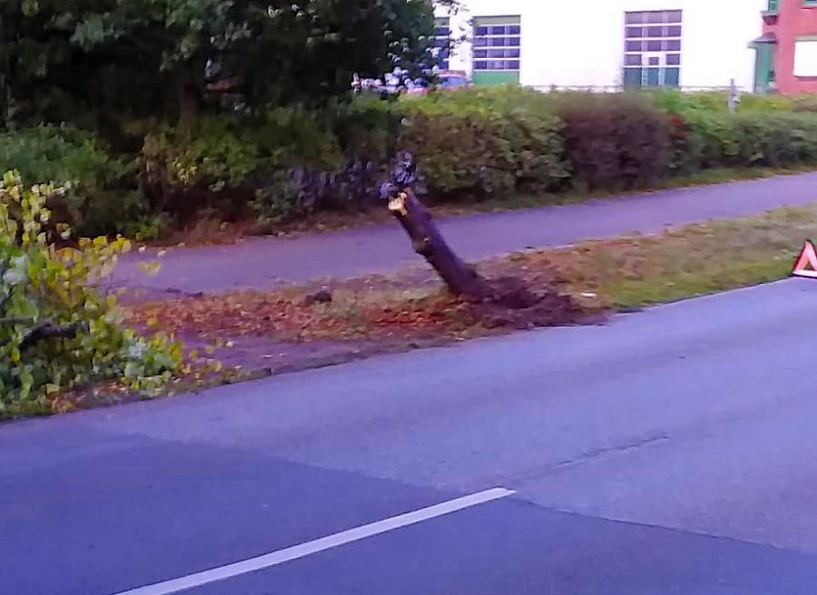 IMG-20201002-WA0013 IMG-20201002-WA0013