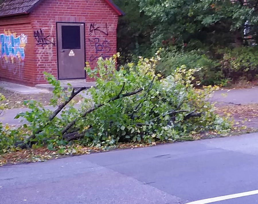 IMG-20201002-WA0016 IMG-20201002-WA0016