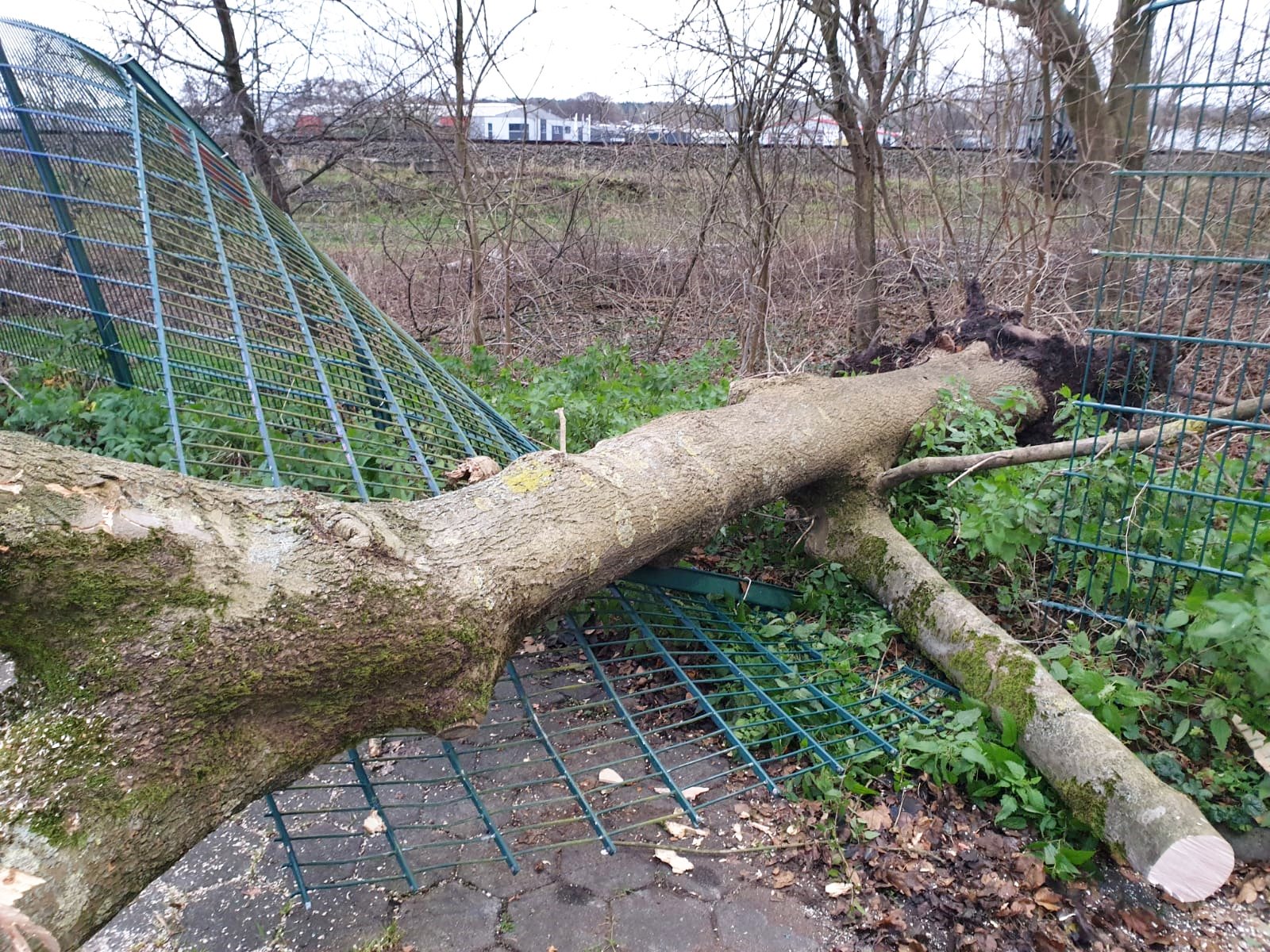 IMG-20201227-WA0005 IMG-20201227-WA0005