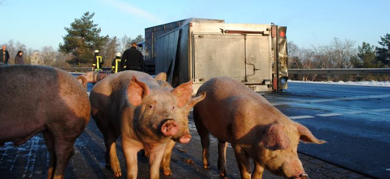 einsatz230113 1 einsatz230113 1
