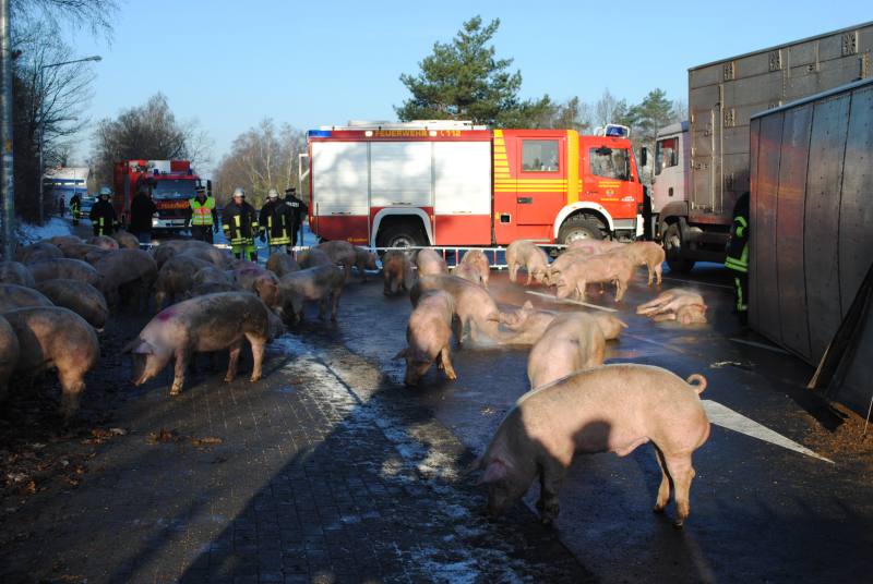 einsatz230113 6 einsatz230113 6