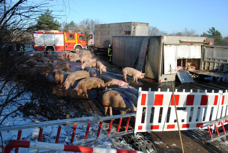 einsatz230113 7 einsatz230113 7