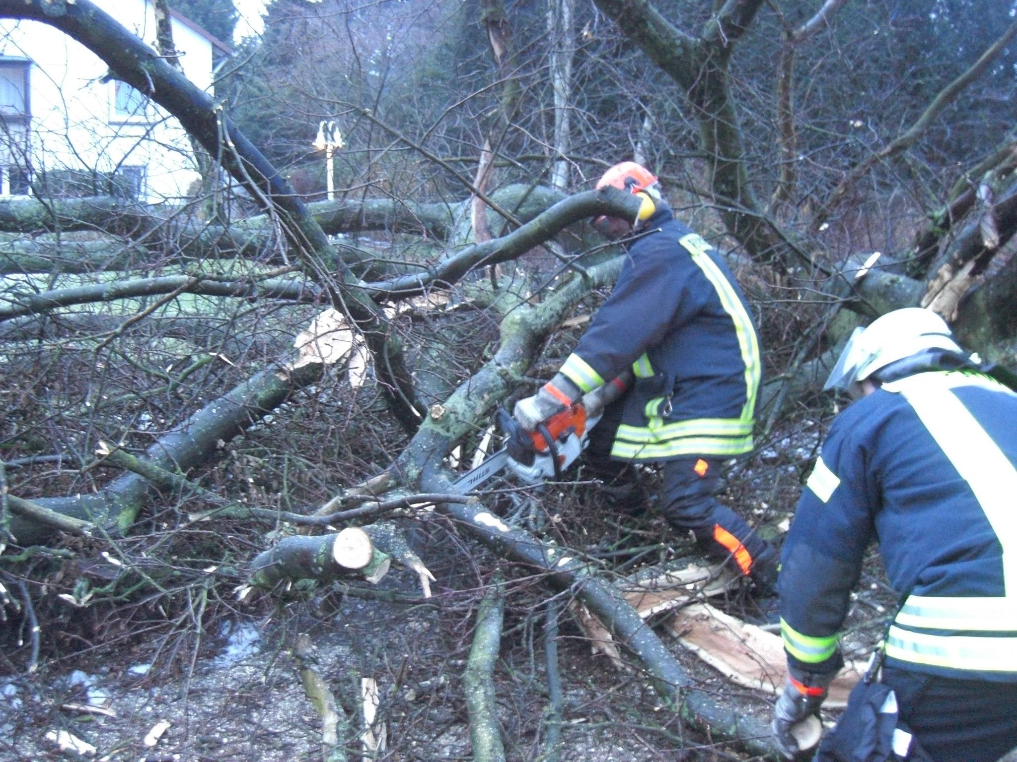 860459 425080160910068 2111343319 o 860459 425080160910068 2111343319 o