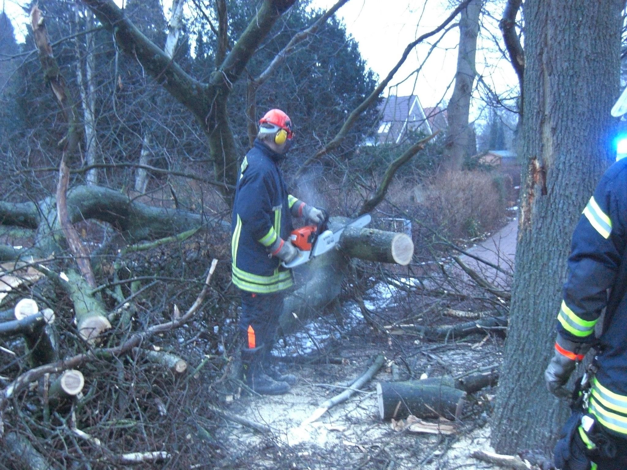 861454 425080197576731 496159700 o 861454 425080197576731 496159700 o