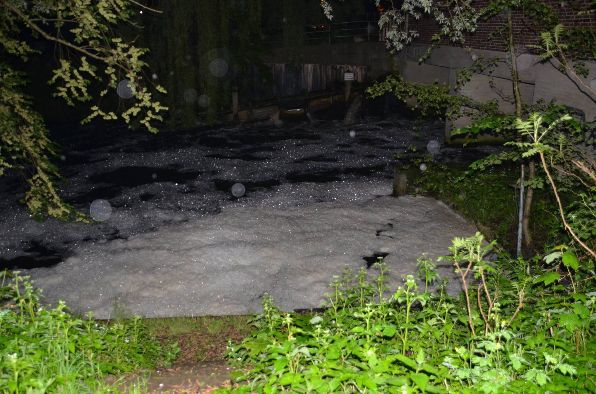 977832 461951350556282 1770014353 o 977832 461951350556282 1770014353 o