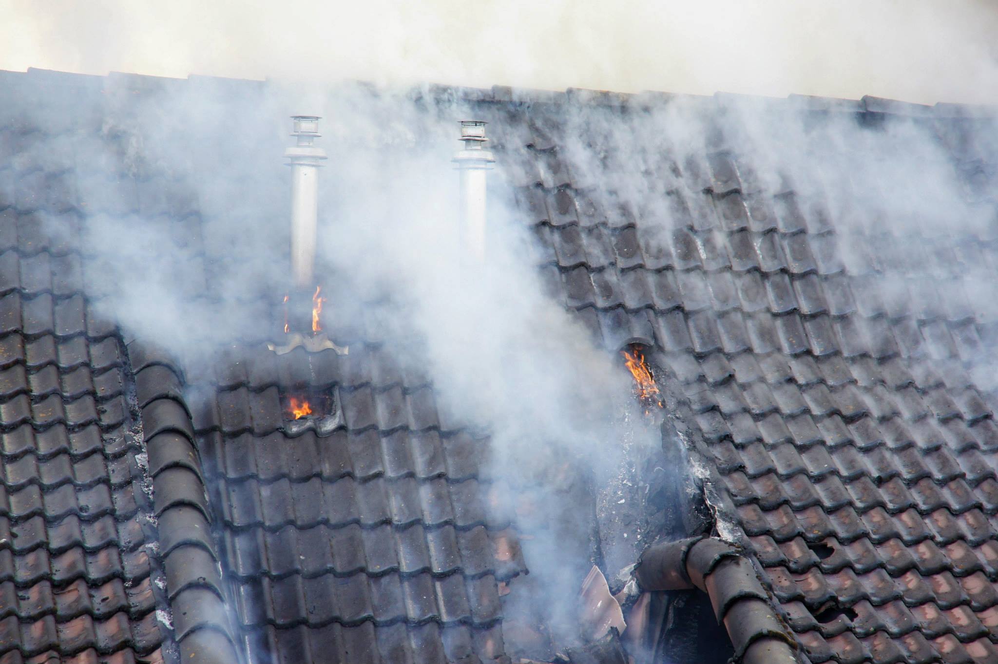 1116208 498729113545172 1616099381 o 1116208 498729113545172 1616099381 o