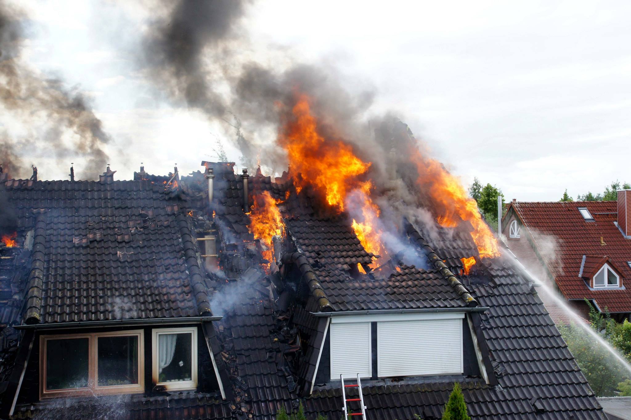 1172368 498729873545096 1004595495 o 1172368 498729873545096 1004595495 o