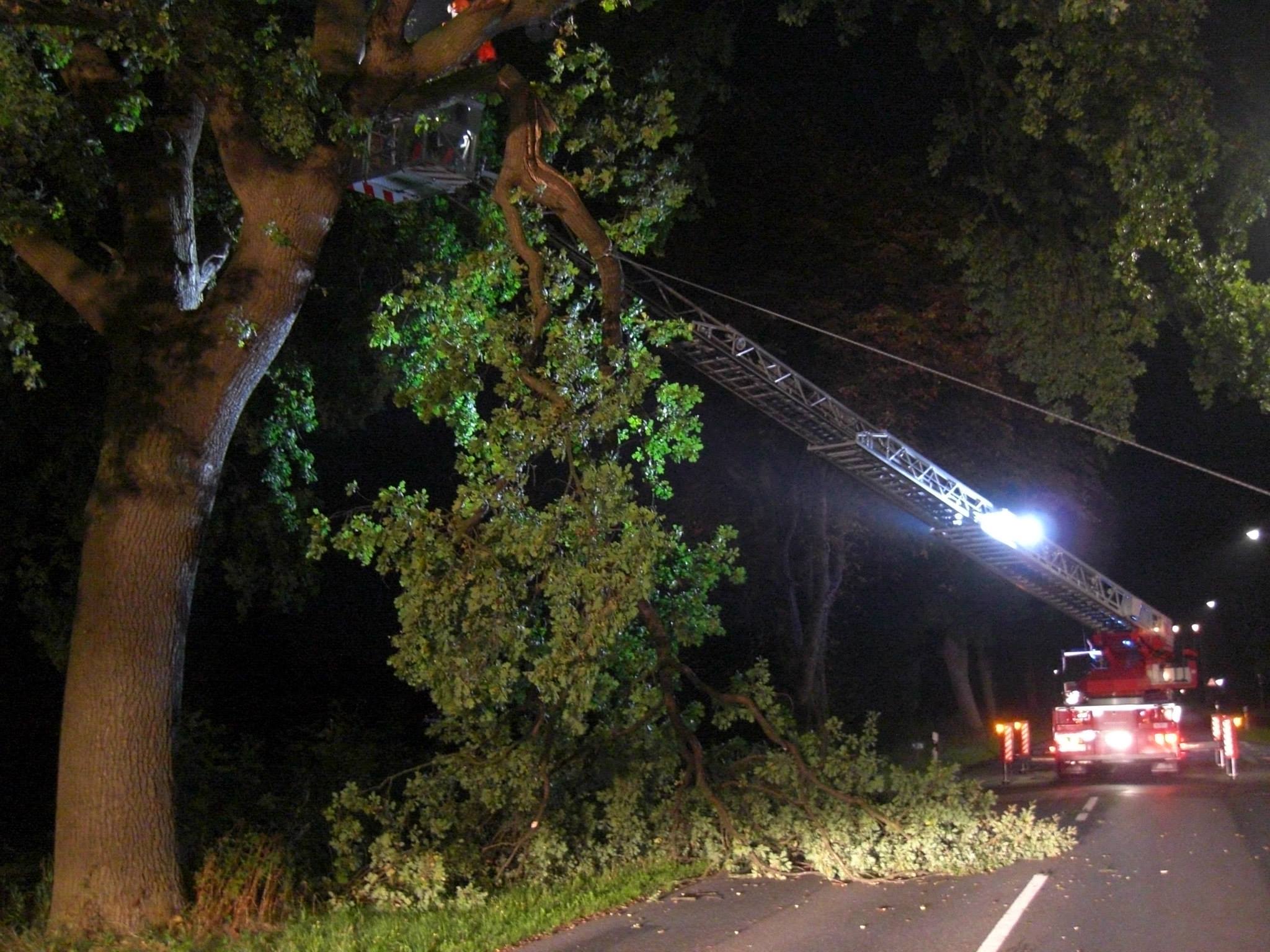 1237465 515494488535301 994027050 o 1237465 515494488535301 994027050 o