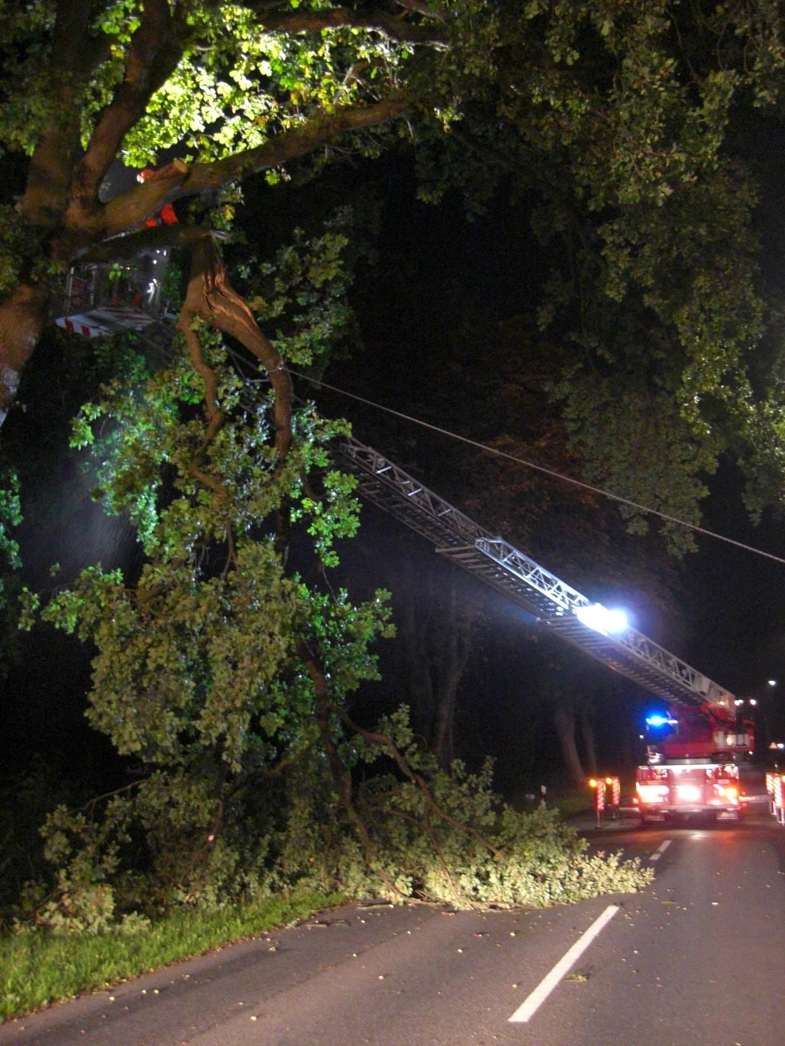 1265003 515494461868637 1259590061 o 1265003 515494461868637 1259590061 o